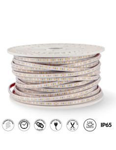 Tira LED 220V AC PROSTRIP SMD2835 12W/m IP65 – Encaixável até 50m | CRI90 Regulável TRIAC